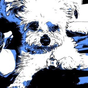 Meet your Posher, Deedee